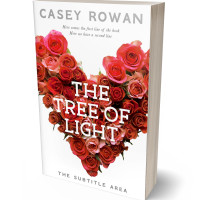 3D view of Premade Romance Book Cover - Flush Mahogany #31923 | BookCoverZone