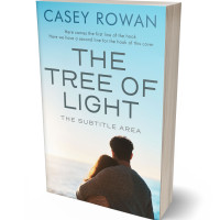 3D view of Premade Romance Book Cover - Swans Down