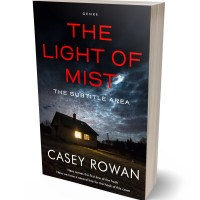 3D view of Premade Mystery & Thriller & Suspense Book Cover - Woodsmoke