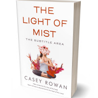 3D view of Premade Health & Dieting & Fitness Book Cover - Bizarre