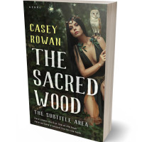 3D view of Premade Fantasy Book Cover - Chino