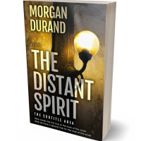 3D view of Premade Mystery & Thriller & Suspense Book Cover - Straw