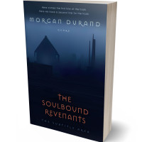 3D view of Premade Mystery & Thriller & Suspense Book Cover - Firefly