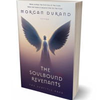 3D view of Premade Religion & Spirituality Book Cover - Sisal