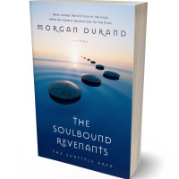 Tablet view of Madison #32014 - Premade Health & Mind & Body Book Cover