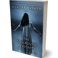 3D view of Premade Mystery & Thriller & Suspense Book Cover - Fiord