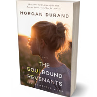 3D view of Premade Teen & Young Adult Book Cover - Judge Gray