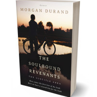 3D view of Premade Romance Book Cover - Dune