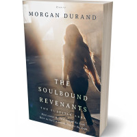 Tablet view of Cape Cod #32026 - Premade Literary Fiction Book Cover