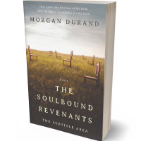 3D view of Premade Surreal Book Cover - Quill Gray