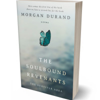 Tablet view of Pumice #32045 - Premade Poetry Book Cover