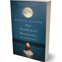 3D view of Premade Fantasy Book Cover - Blue Dianne