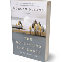 3D view of Premade Nature Book Cover - Stack