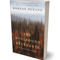 3D view of Premade Nature Book Cover - Saddle