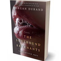 3D view of Premade Erotica Book Cover - Jon