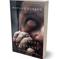 3D view of Premade Horror Book Cover - Thunder