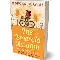 3D view of Premade Chick Lit Book Cover - Sea Buckthorn