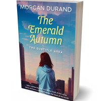 3D view of Premade Teen & Young Adult Book Cover - Wedgewood