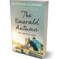 3D view of Premade Teen & Young Adult Book Cover - Eagle