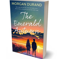 3D view of Premade Romance Book Cover - Fiord