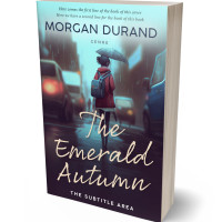 3D view of Premade Literary Fiction Book Cover - Blackcurrant