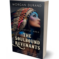 3D view of Premade Western Book Cover - Baltic Sea