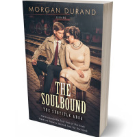 3D view of Cameo #32146 - Premade Romance Book Cover