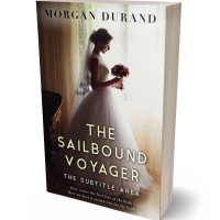 3D view of Premade Romance Book Cover - Satin Linen