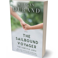 3D view of Premade Literary Fiction Book Cover - Quill Gray