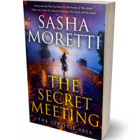 3D view of Premade Literary Fiction Book Cover - Revolver