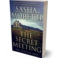 3D view of Premade Mystery & Thriller & Suspense Book Cover - Ebony Clay