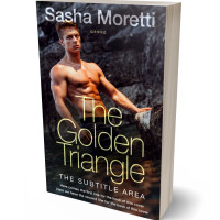 3D view of Premade Erotica Book Cover - Thunder