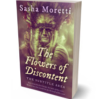 3D view of Premade Western Book Cover - Eggplant