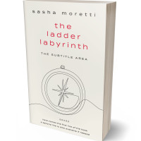 3D view of Premade Self-Improvement & Self-Help Book Cover - Cararra