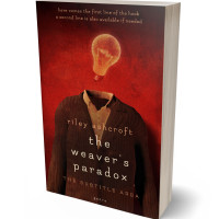 Tablet view of Tall Poppy #32285 - Premade Abstract Book Cover