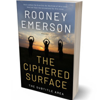 3D view of Premade Health & Dieting & Fitness Book Cover - Sorrell Brown