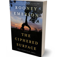 3D view of Premade Health & Dieting & Fitness Book Cover - Cod Gray