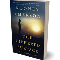 3D view of Premade Paranormal & Urban Book Cover - Sorrell Brown