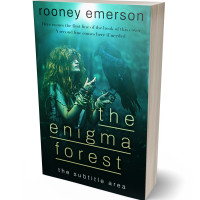 3D view of Bottle Green #32402 - Premade Fantasy Book Cover