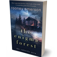 3D view of Premade Mystery & Thriller & Suspense Book Cover - Big Stone