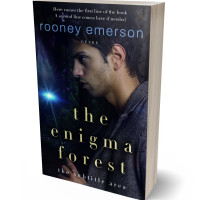 3D view of Premade Fantasy Book Cover - Cinder