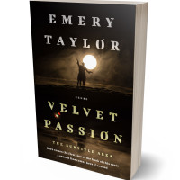 3D view of Premade Western Book Cover - Eternity