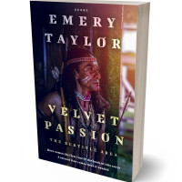 3D view of Premade Western Book Cover - Mirage