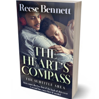 3D view of Premade Romance Book Cover - Charade