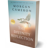 3D view of Premade Religion & Spirituality Book Cover - Ash