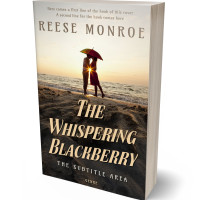 3D view of Premade Romance Book Cover - Zeus