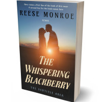 3D view of Premade Romance Book Cover - Mine Shaft