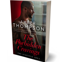 3D view of Premade Erotica Book Cover - Night Rider