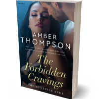 3D view of Premade Erotica Book Cover - Thunder #32889 | BookCoverZone
