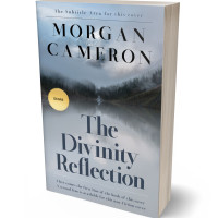 3D view of Premade Nature Book Cover - Tower Gray